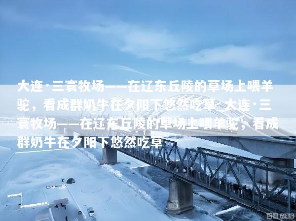 大连·三寰牧场——在辽东丘陵的草场上喂羊驼，看成群奶牛在夕阳下悠然吃草_大连·三寰牧场——在辽东丘陵的草场上喂羊驼，看成群奶牛在夕阳下悠然吃草