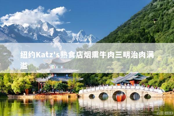 纽约Katz's熟食店烟熏牛肉三明治肉满溢
