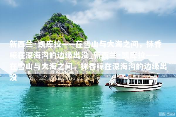 新西兰·凯库拉——在雪山与大海之间，抹香鲸在深海沟的边缘出没_新西兰·凯库拉——在雪山与大海之间，抹香鲸在深海沟的边缘出没