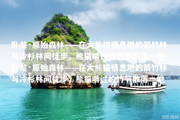 卧龙·原始森林——在大熊猫栖息地的箭竹林与冷杉林间徒步，熊猫啃过的竹节散落一地_卧龙·原始森林——在大熊猫栖息地的箭竹林与冷杉林间徒步，熊猫啃过的竹节散落一地