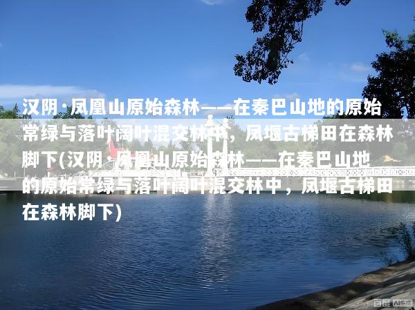 汉阴·凤凰山原始森林——在秦巴山地的原始常绿与落叶阔叶混交林中，凤堰古梯田在森林脚下(汉阴·凤凰山原始森林——在秦巴山地的原始常绿与落叶阔叶混交林中，凤堰古梯田在森林脚下)