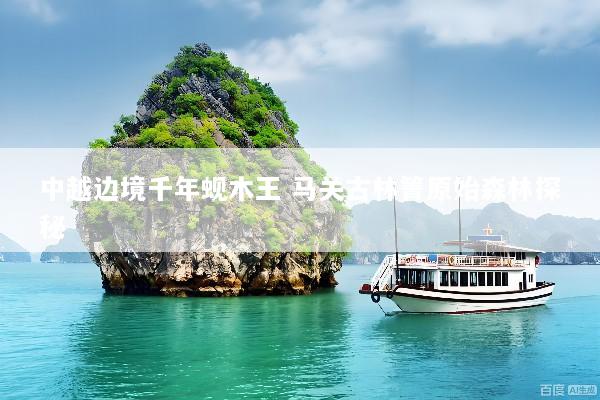 中越边境千年蚬木王 马关古林箐原始森林探秘