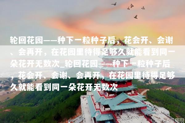 轮回花园——种下一粒种子后，花会开、会谢、会再开，在花园里待得足够久就能看到同一朵花开无数次_轮回花园——种下一粒种子后，花会开、会谢、会再开，在花园里待得足够久就能看到同一朵花开无数次
