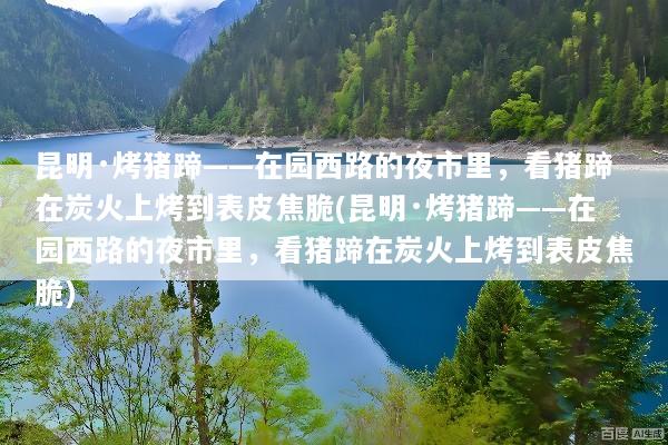 昆明·烤猪蹄——在园西路的夜市里，看猪蹄在炭火上烤到表皮焦脆(昆明·烤猪蹄——在园西路的夜市里，看猪蹄在炭火上烤到表皮焦脆)