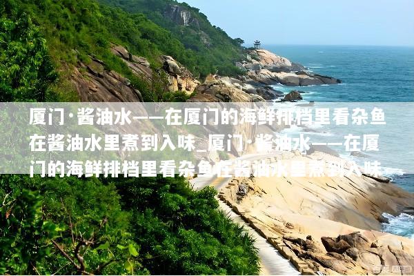 厦门·酱油水——在厦门的海鲜排档里看杂鱼在酱油水里煮到入味_厦门·酱油水——在厦门的海鲜排档里看杂鱼在酱油水里煮到入味