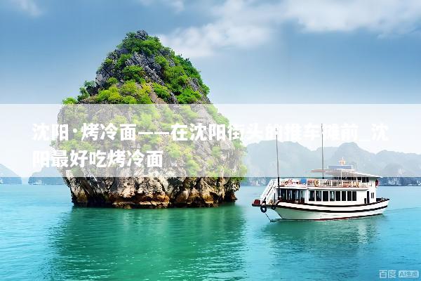 沈阳·烤冷面——在沈阳街头的推车摊前_沈阳最好吃烤冷面