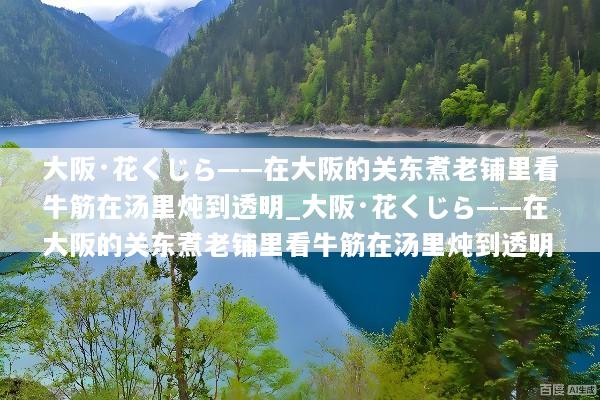 大阪·花くじら——在大阪的关东煮老铺里看牛筋在汤里炖到透明_大阪·花くじら——在大阪的关东煮老铺里看牛筋在汤里炖到透明