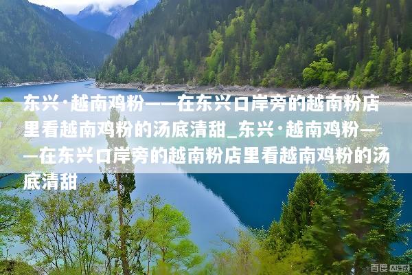 东兴·越南鸡粉——在东兴口岸旁的越南粉店里看越南鸡粉的汤底清甜_东兴·越南鸡粉——在东兴口岸旁的越南粉店里看越南鸡粉的汤底清甜