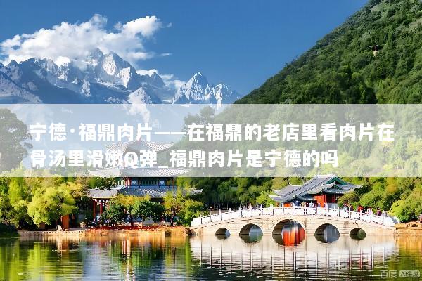 宁德·福鼎肉片——在福鼎的老店里看肉片在骨汤里滑嫩Q弹_福鼎肉片是宁德的吗