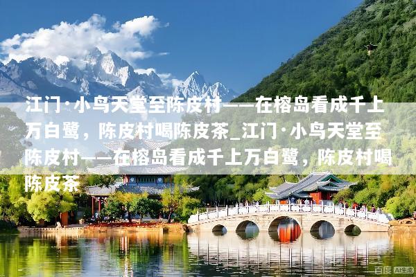 江门·小鸟天堂至陈皮村——在榕岛看成千上万白鹭，陈皮村喝陈皮茶_江门·小鸟天堂至陈皮村——在榕岛看成千上万白鹭，陈皮村喝陈皮茶